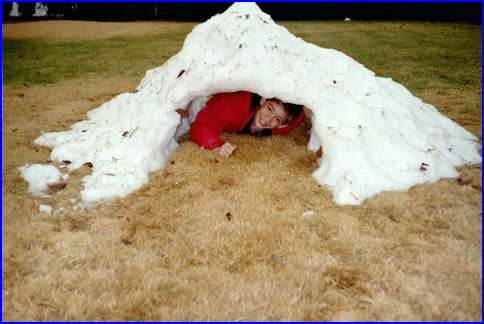  Joey under snow 